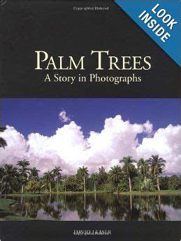  The Palm Tree: A Story of Unexpected Fortune and Hidden Wisdom!