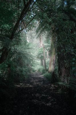 Xbalamqué: Uma Jornada Misteriosa Através da Floresta Mística e das Profecias Ancestrais!